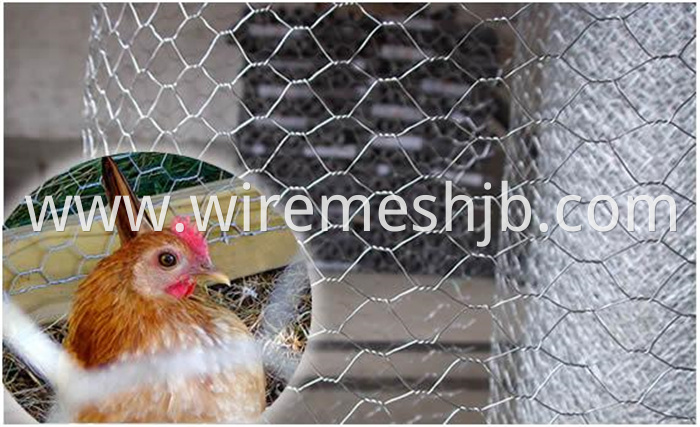 Chicken Coop Netting